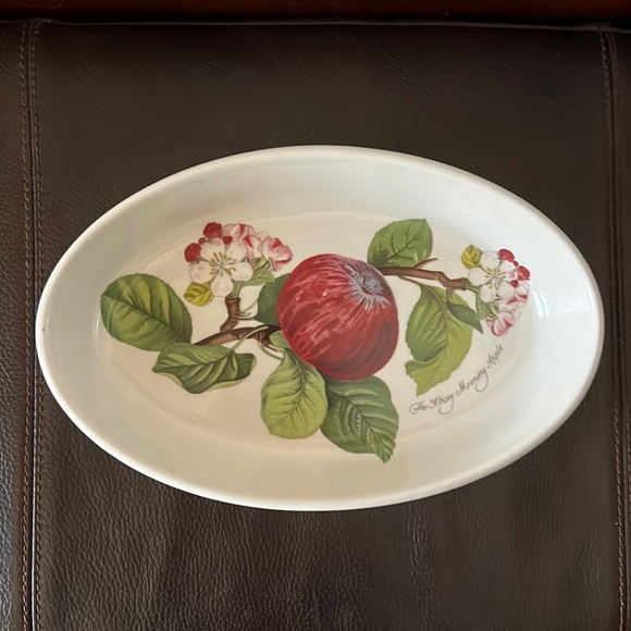 Pomona Portmeirion Oval Dish Designed by Susan Williams “Hoary Morning Apple” - Picture 1 of 7